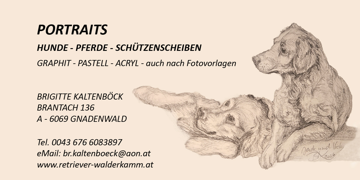 Visitenkarte 2026 Portraits