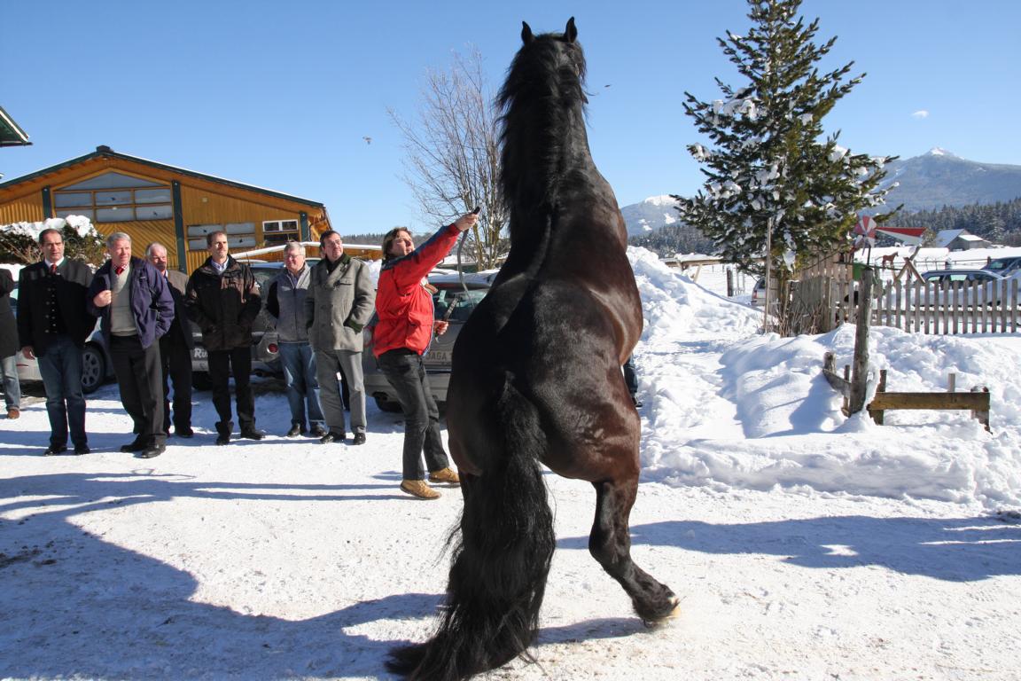 tagung_ramsau_zucht_laendliche_1_2011_edelstein_nero_4