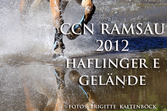 ccn_ramsau_gelaende_haflinger_e_2012