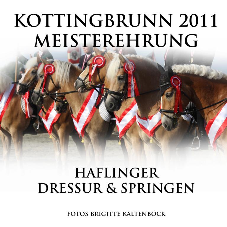cover_meisterehrung_bm_ha_2011_kottingbrunn