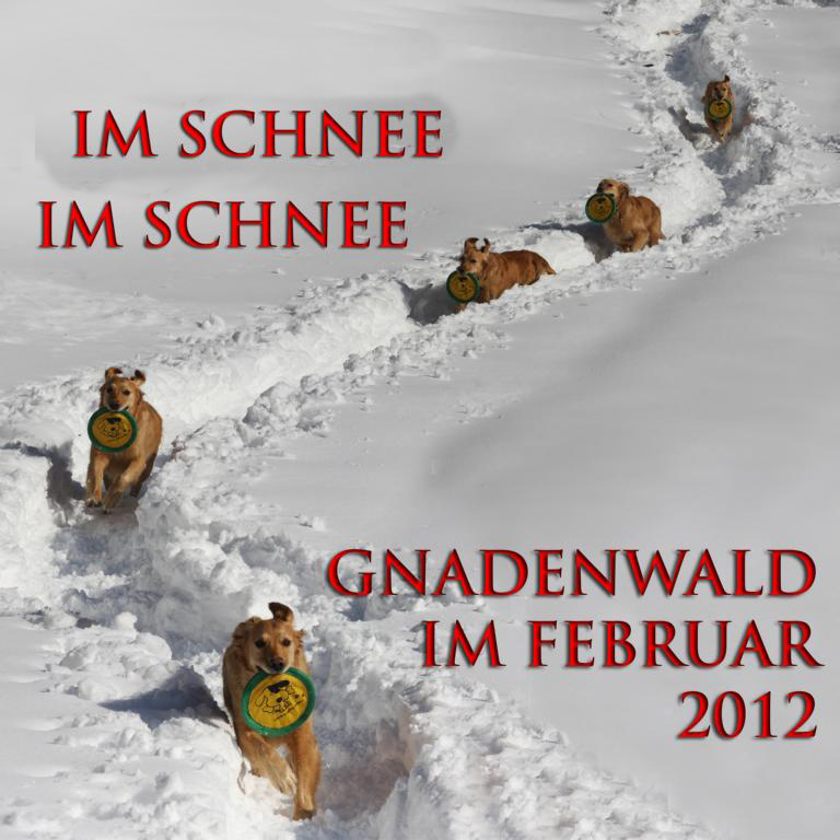 cover_schnee_2012