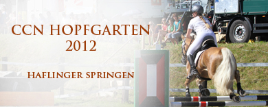 cover_springen_haflinger_2012