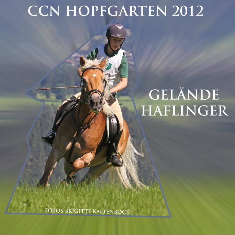 cover_vs_hopfgarten_gelaende_haflinger