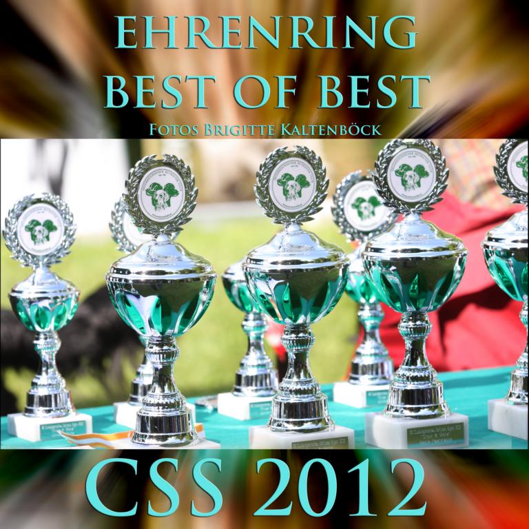 css_2012_cover_ehrenring