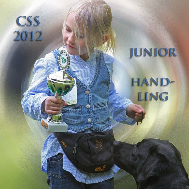 css_2012_juniorhandling_cover
