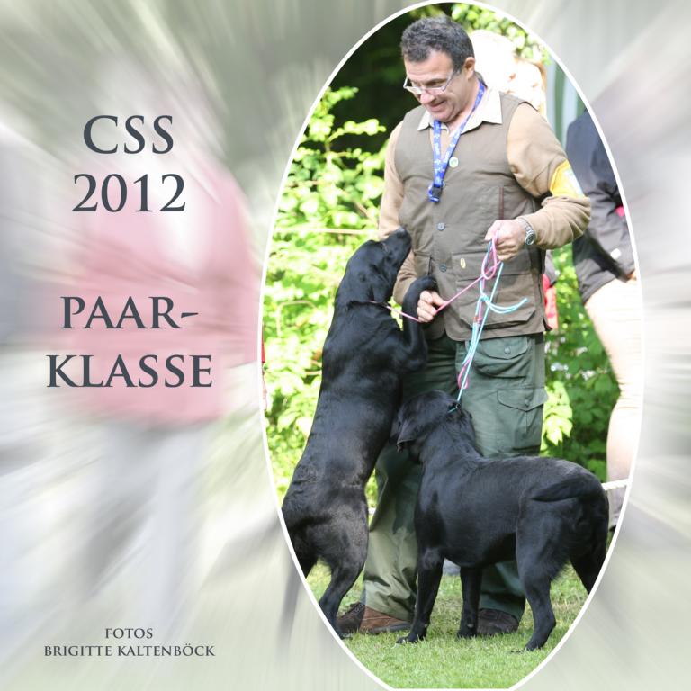 css_2012_paarklasse_cover