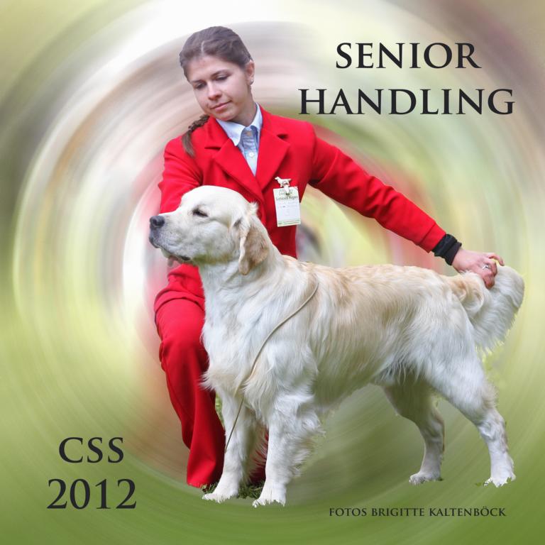 css_2012_seniorhandling_cover