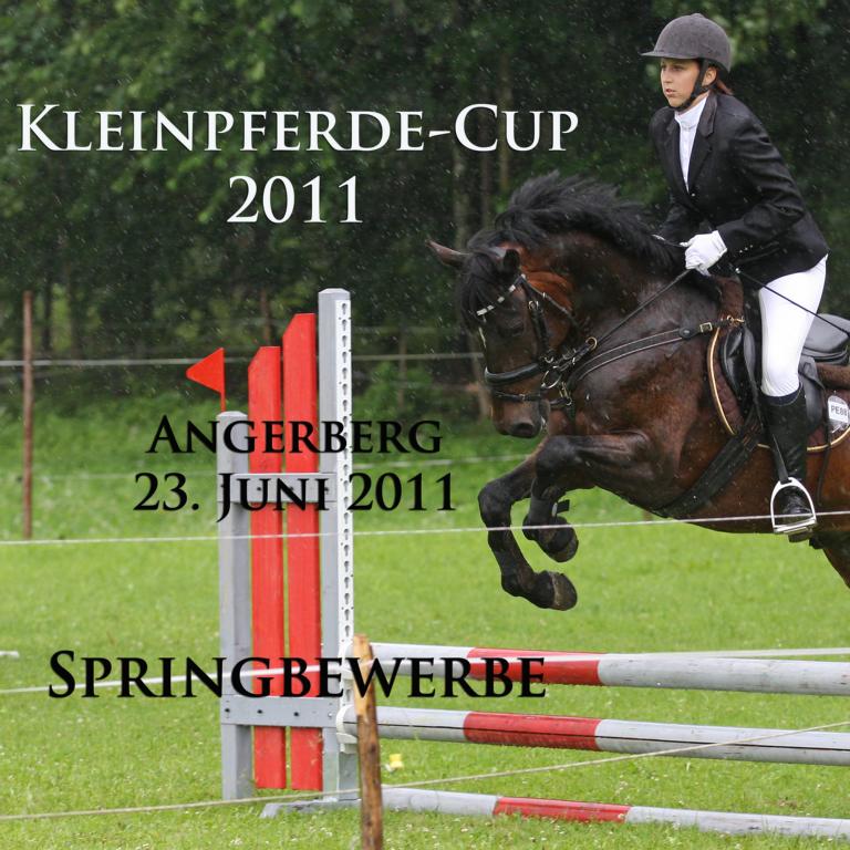 kleinpferdecup_2011_angerberg_springbewerbe_cover